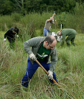 Photograph of volunteers at work