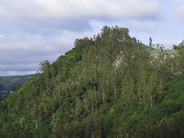 Fotografía de la ladera oeste de A Espenuca