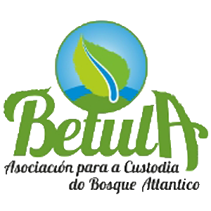 Logo de Betula 