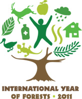 Logo Internationales Jahr der Wälder