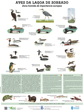 Imaxe do cartel de fauna da lagoa de Sobrado